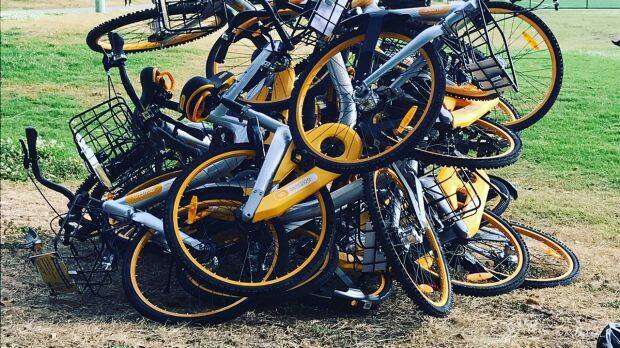 Ride sharing bikes at Waverley Oval, Bondi Road. Photo: Lucie Billingsley