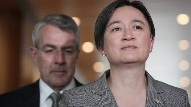 Labor's Penny Wong and Mark Dreyfus announced the party would vote down any amendments. Photo: Alex Ellinghausen