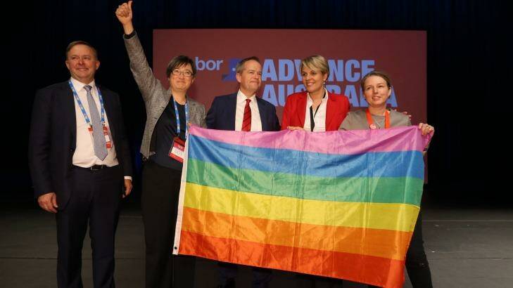 Labor MPs show off a rainbow flag. Photo: Andrew Meares