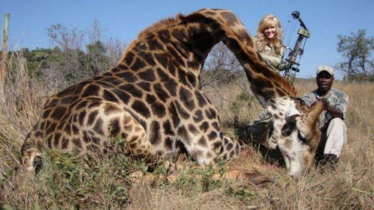 Rebecca Francis, in a picture from her Facebook page, of the giraffe she shot in Africa.
 Photo: Facebook