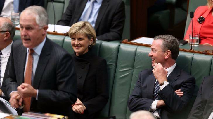 Future PM? Education Minister Christopher Pyne tries to hose down suggestions Julie Bishop is a potential leader. Photo: Andrew Meares
