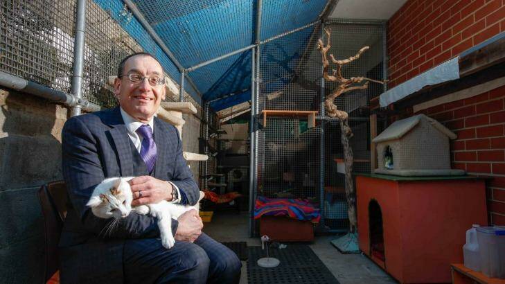 Former RSPCA ACT chief execuitve EO of RSPCA Michael Linke in an outdoor cat enclosure. Photo: Katherine Griffiths