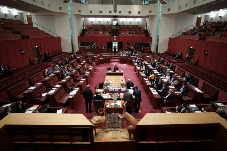 The Senate votes on the Marriage Amendment Bill, at Parliament House in Canberra on  Wednesday 29 November 2017. fedpol Photo: Alex Ellinghausen