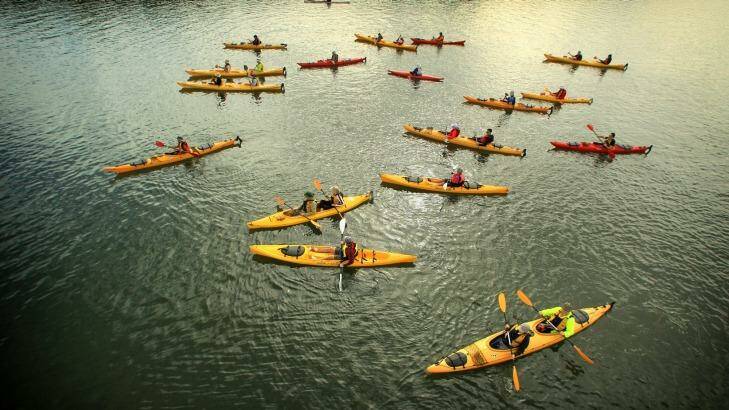 Kayaks and canoes from the Parramatta River Catchment Group at Armory Wharf, Homebush. Photo: James Alcock