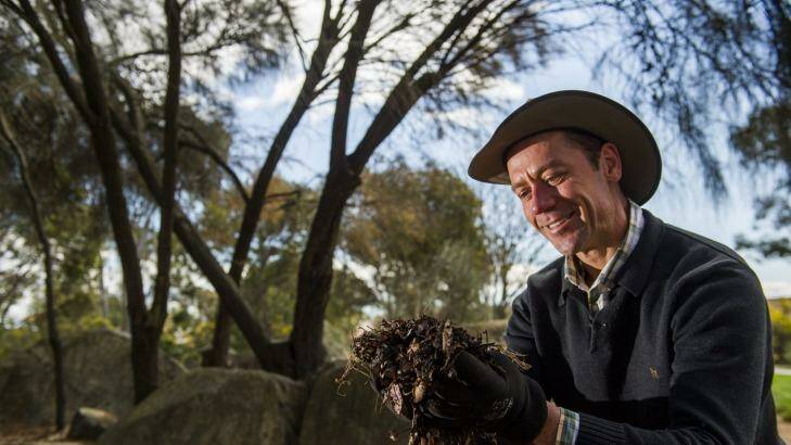 In fertile hands: Rodger Gorey with a handful of his compost mix. Photo: Jay Cronan