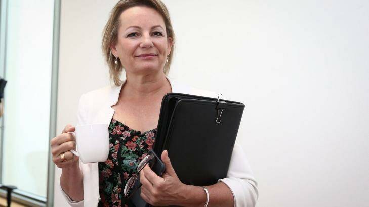 Sport Minister Sussan Ley: "Appropriate governance reforms at FIFA must be undertaken, and succeed, before Australia could ever entrust taxpayer dollars towards any bid overseen by FIFA." Photo: Alex Ellinghausen