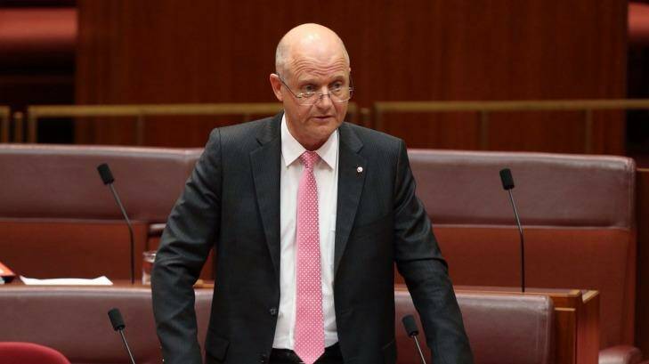 Seeking equality: Liberal Democratic senator David Leyonhjelm. Photo: Andrew Meares