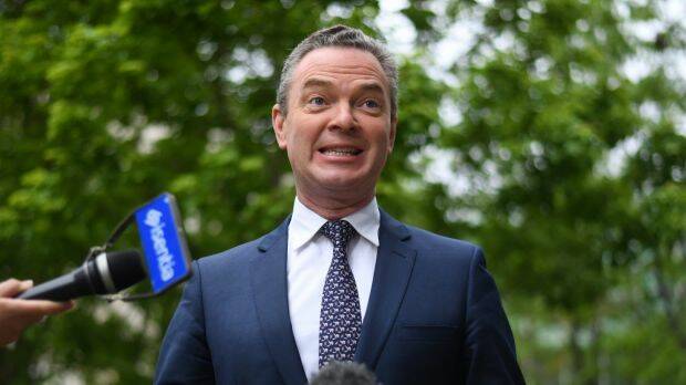 Leader of the House Christopher Pyne.  Photo: AAP