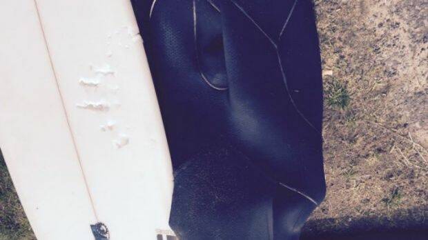 Marcel Brundler's surfboard and wetsuit had puncture marks after the attack. Picture: Courtesy ABC/Marcel Brundler