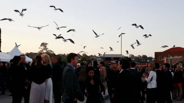 Film-goers are left outside on the opening night of the Cockatoo Island Film Festival.