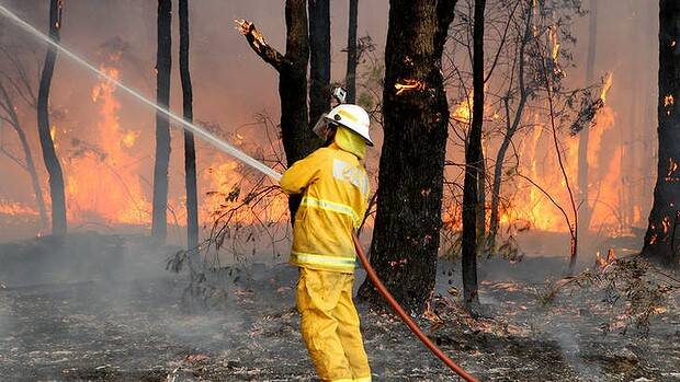 State of emergency: firefighters tackle a bushfire at Winmalee in the Blue Mountains. Photo: Janie Barrett  